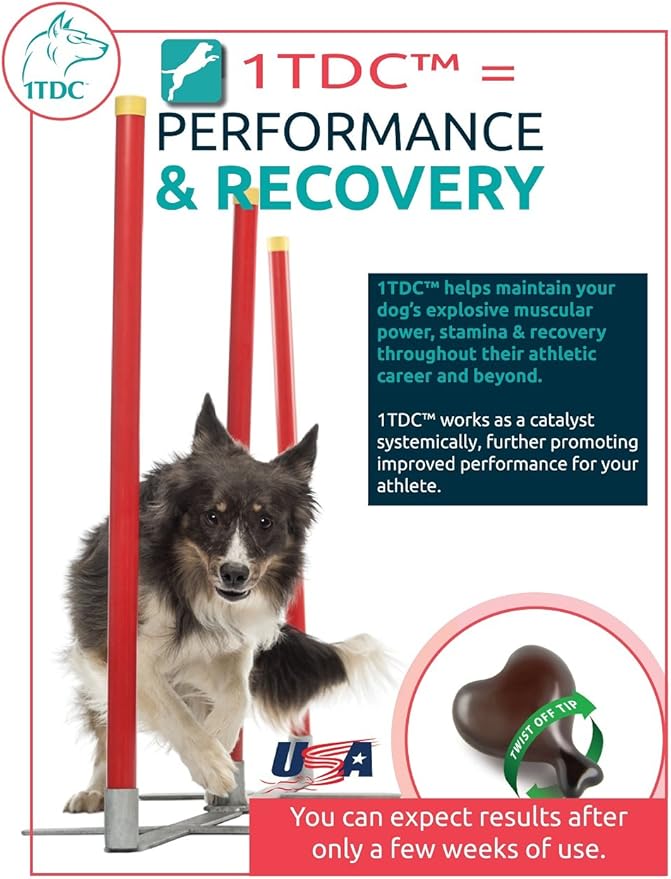WorksSoWell 1TDC Dual Action Natural Support – 60 Twist Off Soft Gels | Delivers 4 Health Benefits for Dogs & Cats | Supports Oral, Hip & Joint Health, Muscle & Stamina Recovery, Skin & Coat Health