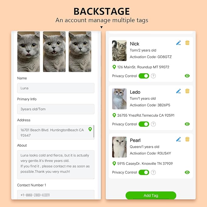 (2 Pack) QR Code Pet ID Dog cat Tags for Collar Personalized for Pet Online Profile - Scan QR Receive Instant Pet Location Alert Email, Anti-Lost,No Subscription fees (Black & Green, for cat - 1")
