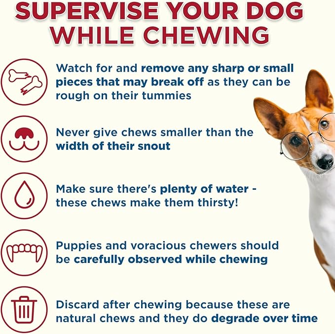Best Bully Sticks Hickory Smoked Marrow Bones for Large Dogs, 3 Pack - USA Smoked & Packed - No Additives Beef Dog Treats - Long Lasting Dog Chews