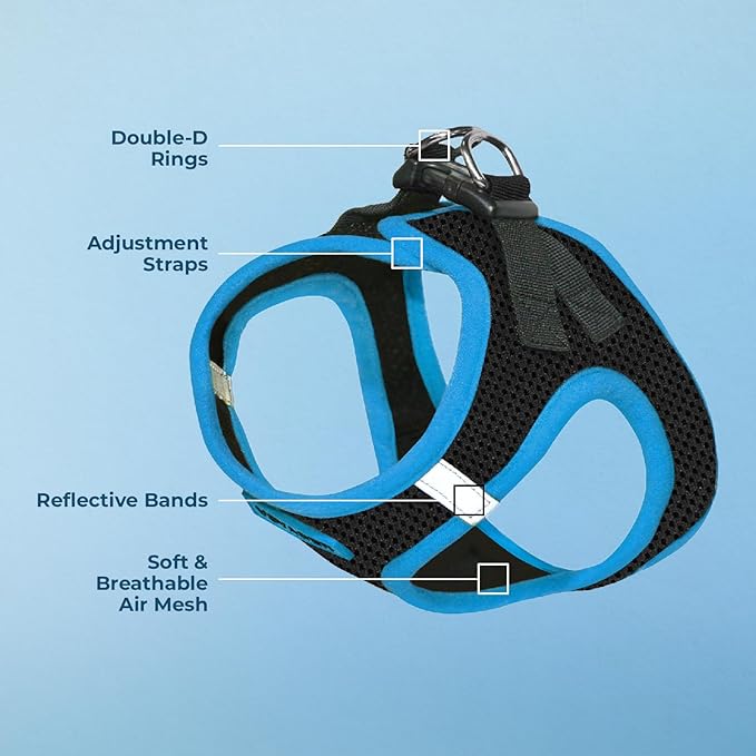 Voyager Step-In Air Dog Harness - All Weather Mesh Step in Vest Harness for Small and Medium Dogs by Best Pet Supplies - Blue Trim, Small