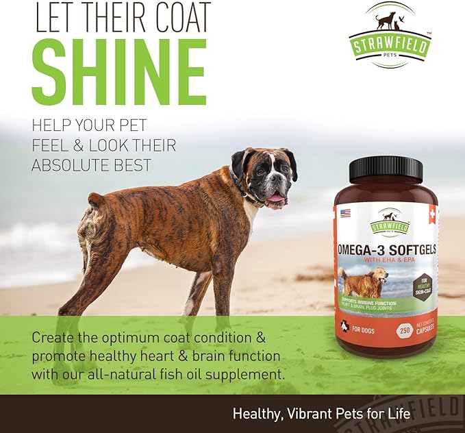 Strawfield Pets' Omega 3 Fish Oil for Dogs Dog Fish Oil Pet Supplement for Joint Support & Pain Relief Allergy Itch Shedding Healthy Coat Dry Itchy Skin Hot Spots USA 1000 mg EPA DHA 250 Softgel Pills