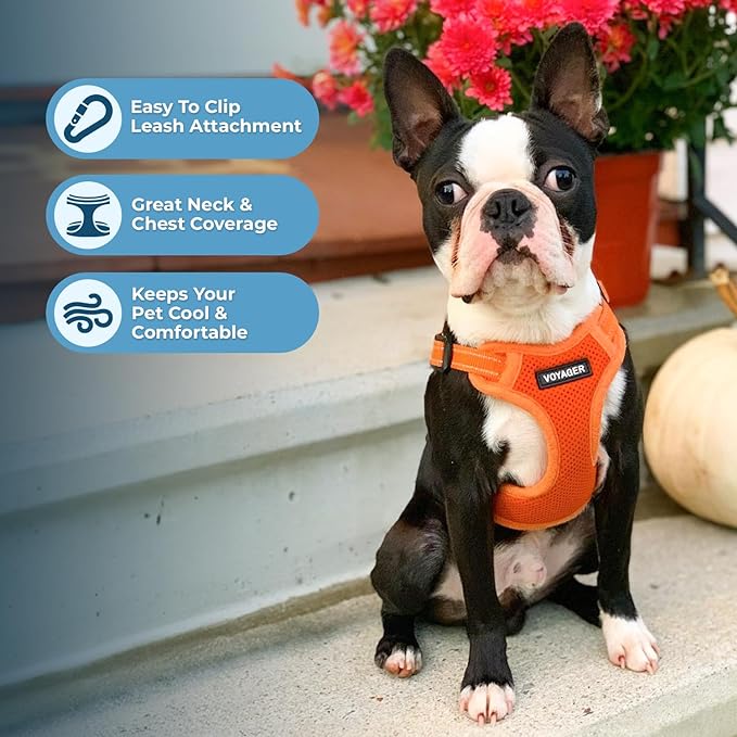 Best Pet Supplies Voyager Adjustable Dog Harness Leash Set with Reflective Stripes for Walking Heavy-Duty Full Body No Pull Vest with Leash D-Ring, Breathable All-Weather - Harness (Orange), M