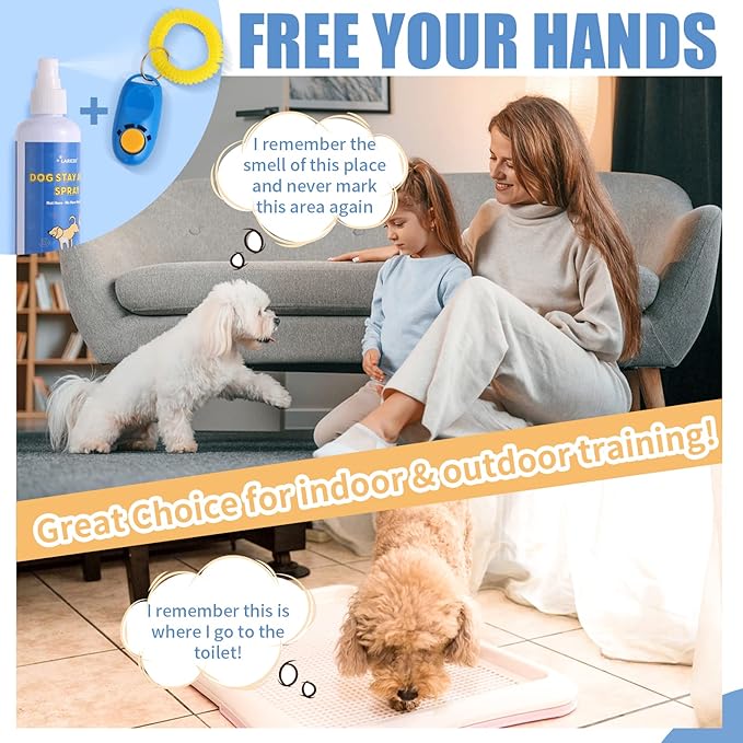 8 oz Not Here Dog Training Spray - Training Solution - Used to Stop Unwanted Behavior - Training Effective Spray - Pet Safety Deterrent.