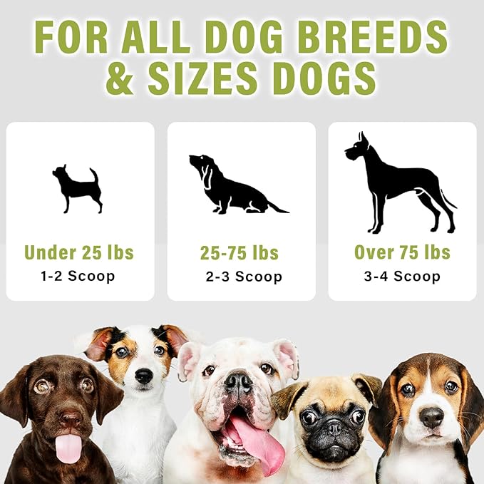 Activated Charcoal for Dogs, Cats, and All Pets, Natural Ingredients Activated Charcoal Powder, Effectively Help Soothe Gas & Bloating