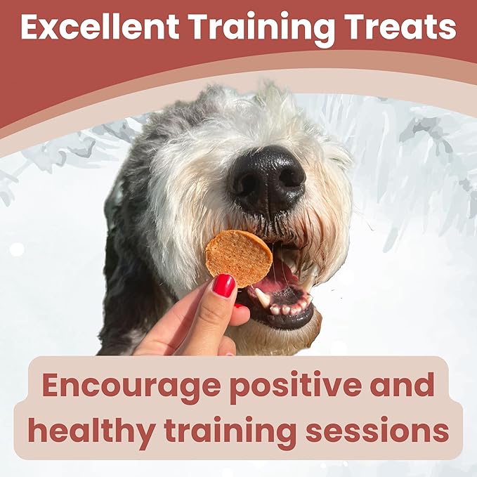 Dog Training Treats - Turkey Chips, Single Ingredient, Lean, All Natural, Healthy Dog Treats for Small, Medium, Large Dog Breeds, & Puppies, Made in USA