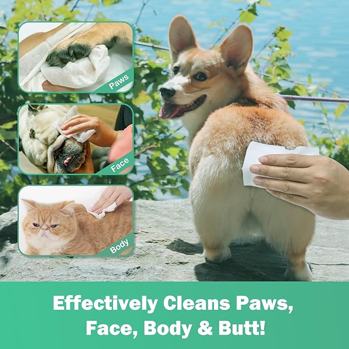 CuteBone Pet Grooming Wipes - Hypoallergenic&Deodorizing Flushable Anal Gland Wipes for Dogs, Relieve Inflammation&Itching, Cleans Paws & Butt, Puppy Wipes 100 Count