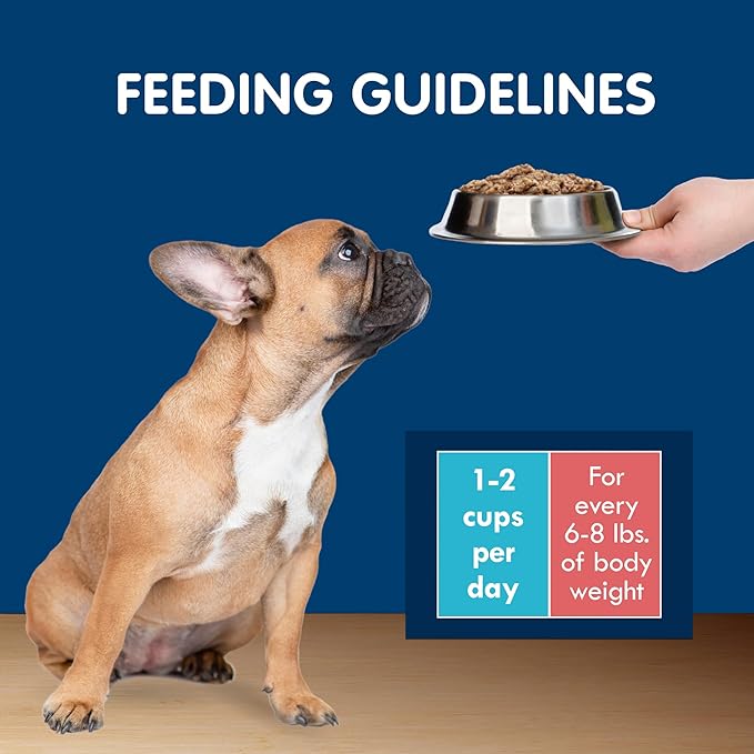 Blue Buffalo Delights Natural Adult Small Breed Wet Dog Food Cups, Pate Style, Chicken and Prime Rib 3.5-oz (12 Pack- 6 of Each Flavor)