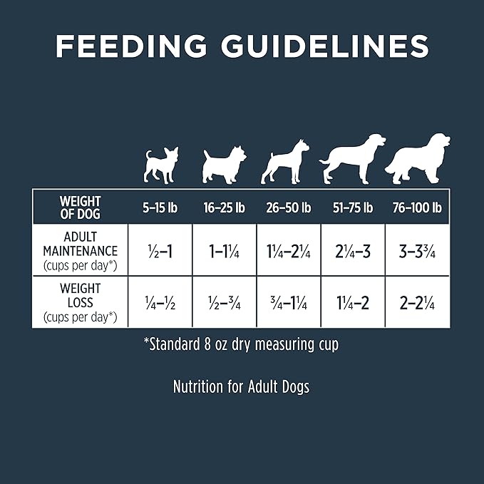Instinct Raw Boost Skin & Coat Health Grain Free Recipe with Real Chicken Natural Dry Dog Food by Nature's Variety, 4 lb. Bag
