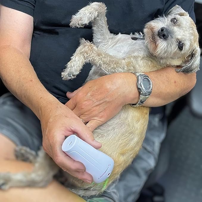 Light Therapy for Dogs and Pets - LED Light Therapy for Pain Relief, Muscle & Joint Pain, Reduce Inflammation, Heal Wounds, & Clear Skin Problems with 2 Therapy Modes