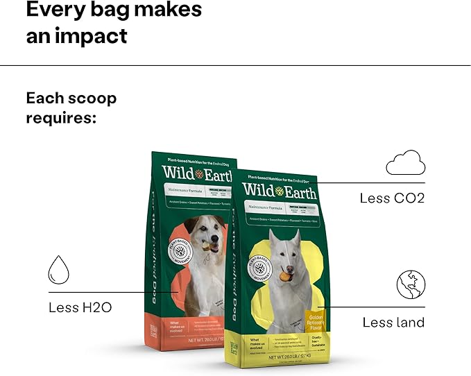 Wild Earth Vegan Dry Dog Food | Plant-Based Maintenance Formula | Vegetarian, Allergy Relief, Veterinarian-Developed for Complete Nutrition | Golden Rotisserie Flavor, 5 Pound Bag