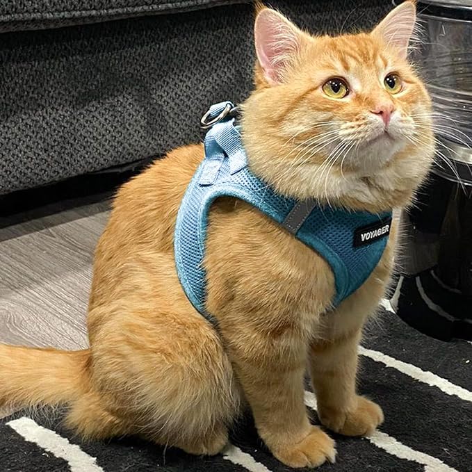 Voyager Step-in Air Dog Harness - All Weather Mesh Step in Vest Harness for Small and Medium Dogs and Cats by Best Pet Supplies - Harness (Baby Blue), XXX-Small