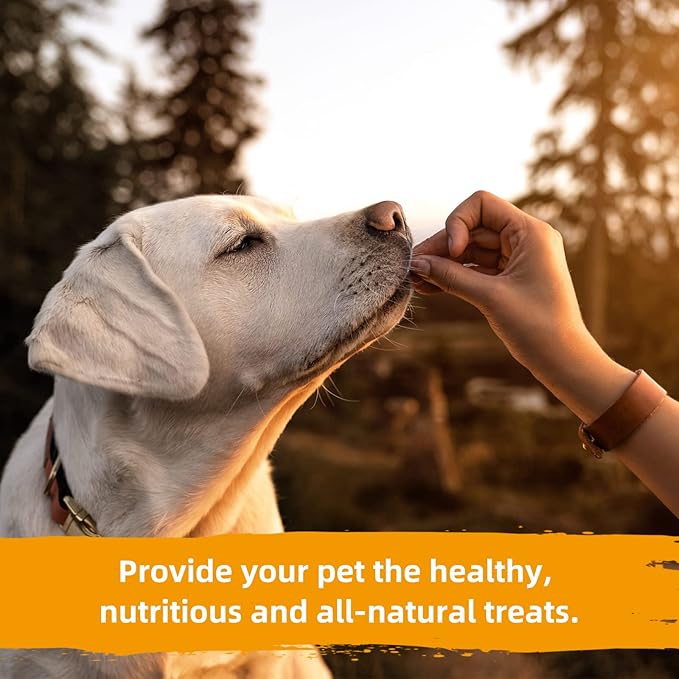 Jungle Calling Dog Treats, Chicken Jerky Dog Treats, High Protein Grain Free Chicken Dog Training Treats, Slow Roasted Chicken Strips for Dogs, Chewy Chicken Fillets, 10.6 oz