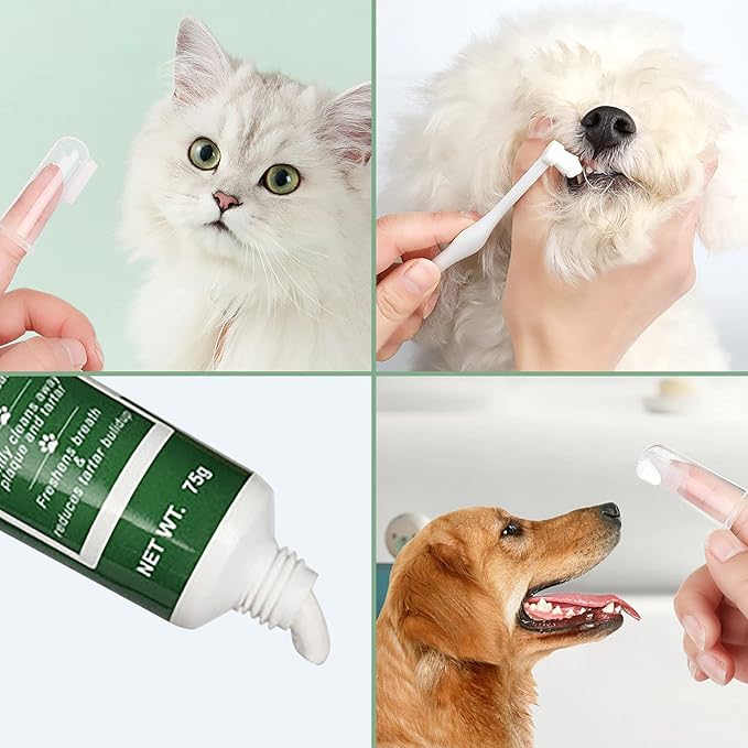 Pet Toothbrush Toothpaste Kit Dog Teeth Cleaning Cat Teeth Cleaning Dental Care Kit Pet Finger Toothbrush, Reduce Plaque & Tartar Buildup, Beef Flavor