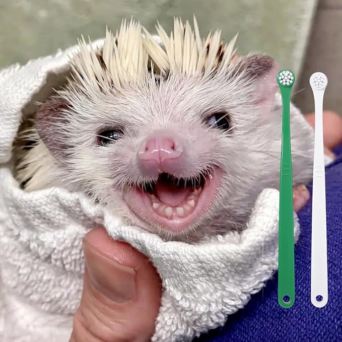 2 Pcs Pet Toothbrush for Hedgehog Small Animal Toothbrush Mini Head Soft Bristles Gentle Pet Toothbrush for Small Pets Dental Care Hedgehog Supplies Hedgehog Grooming Accessories (2 Pack)