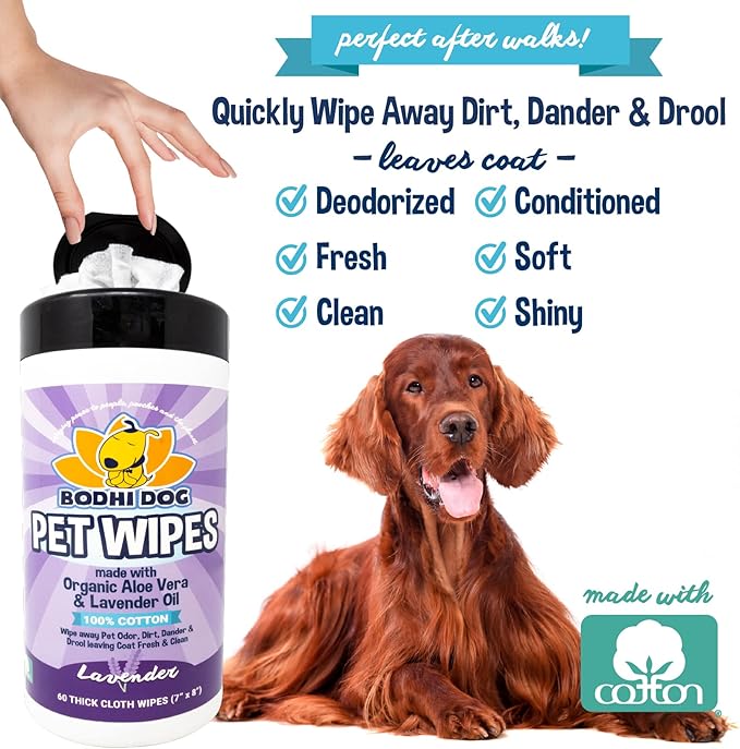Bodhi Dog Pet Wipes | Wipes for Dog Grooming | Wipe Away Pet Odors & Deodorizes Coat | No Parabens or SLS | Large Wet & Thick Pet Wipes | Best for Cleaning Dogs and Cats (Lavender, 60CT)
