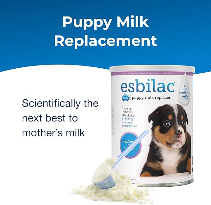 (3 Pack) Pet Ag Esbilac Powder Puppy Milk Replacer and Dog Food Supplement - 12 Ounce