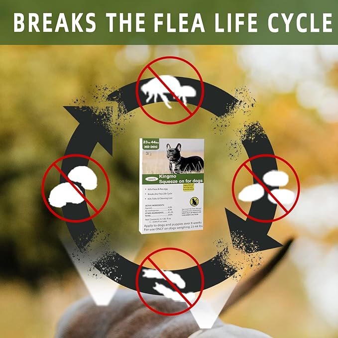 Flea and Tick Prevention for Dogs, Dogs Flea & Tick Treatment with Fipronil, Long-Lasting & Fast-Acting Topical Flea & Tick Control Drops (6 Dose, 5-22lbs)
