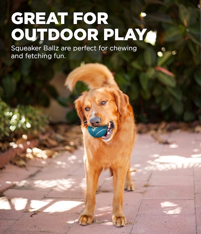 Outward Hound Squeaker Ballz Fetch Dog Toy, Small, 8- Pack