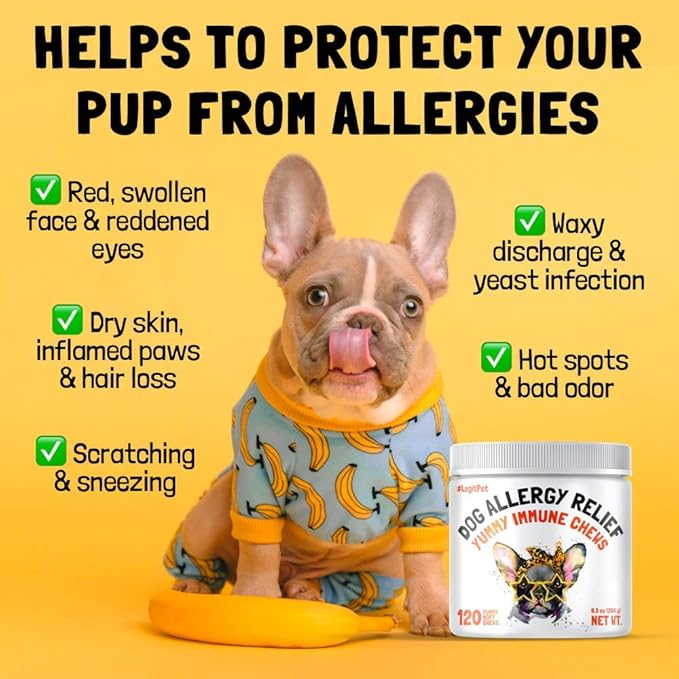 Allergy Relief Chews for Dogs & Immune & Digestive Supplement with Wild Salmon Oil Kelp Colostrum Turmeric Probiotics & Bee Pollen for Seasonal Allergies Anti Itch, Skin Hot Spots Soft Treats