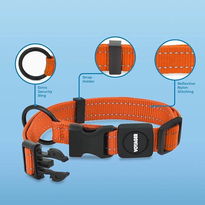 Voyager Reflective Dog Leash Collar Set with Neoprene Handle Supports Small, Medium, and Large Breed Puppies, Cute and Heavy Duty for Walking, Running, and Training - Orange, L