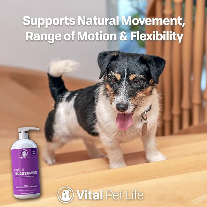 Liquid Glucosamine for Dogs Cats & Horses with Chondroitin, MSM, and Hyaluronic Acid, Hip & Joint Supplement for Mobility & Comfort, Supports Joint Health & Flexibility, Mobility, & Protection, 32 oz