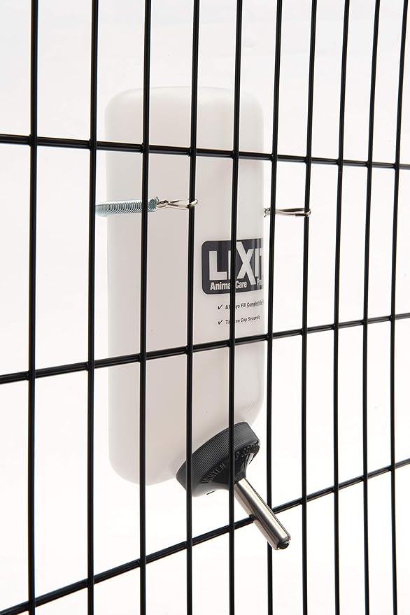 Lixit Wide Mouth Water Bottles for Large and Small Dogs (32oz Small Dog, White)