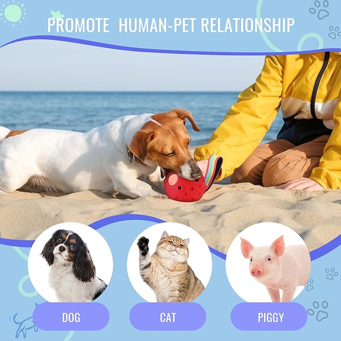 Fillable Dog Chew Toy, Treat Tray for Frozen Dog Food, DIY Fillable Rubber Treat Toy and Silicone Molds, Sturdy Chew Enrichment Stimulation Toys (Red)