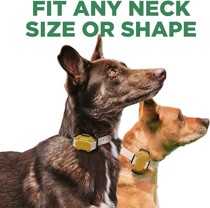Dogtra CUE easy safe e-collar with Vibration Customizable Waterproof Rechargeable Tan ecollar for Small Medium Large Dogs Remote Training Collar (2nd Generation)