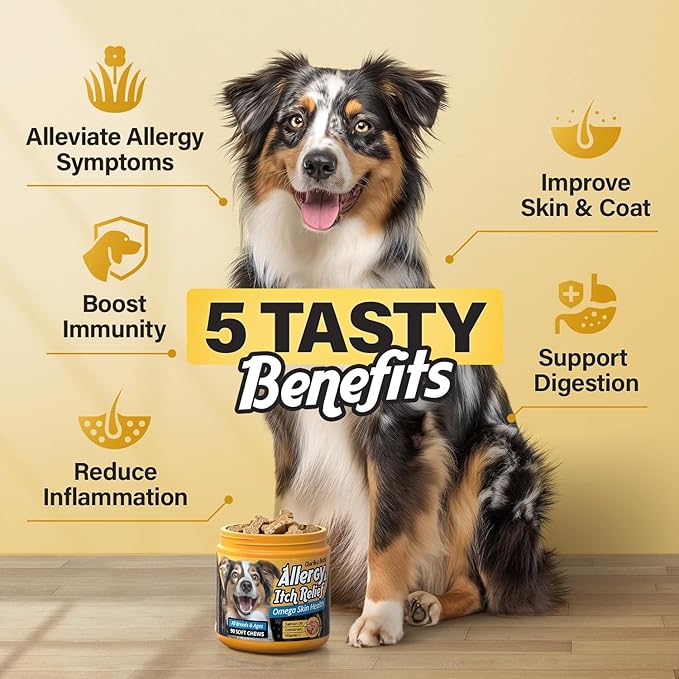 CHARLIE & BUDDY Dog Allеrgy Chews, Immunе Support & Itсh Rеlief for Dogs, Skin and Coat Supplements with Omega 3 Fish Oil, ACV, Vitamin C, & Probiotics for Dogs, 90 Soft Chews, Chicken Flavor, Wrap