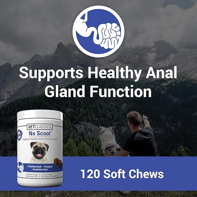 Vet Classics No Scoot Dog Supplements for Healthy Anal Gland Function – Support Normal Bowel Functions, Anal Glands – Increases Daily Fiber Intake for Dogs – 120 Soft Chews