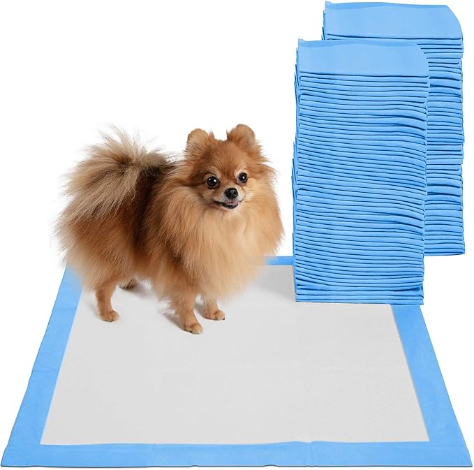 Paws & Pals Leak-Proof Potty Training Pee Pads for Dogs and Puppies, Large - 22x22 Disposable, 150 Count