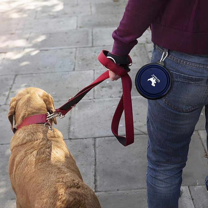 Collapsible Dog Bowls for Travel, 2-Pack Dog Portable Water Bowl for Dogs Cats Pet Foldable Feeding Watering Dish for Traveling Camping Walking with 2 Carabiners, BPA Free