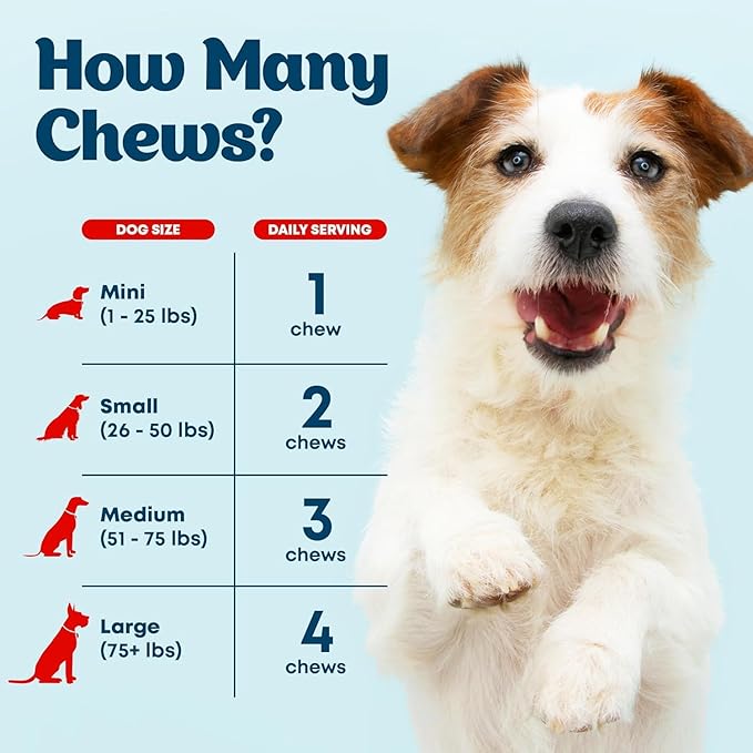 Multivitamin Chews 21-in-1 Dog Vitamins and Supplements for Senior Dogs and Puppies - Multivitamin for Dogs for Skin, Coat, Heart, Immune Support - Dog Multivitamins Chewable for Joint Support -120pcs