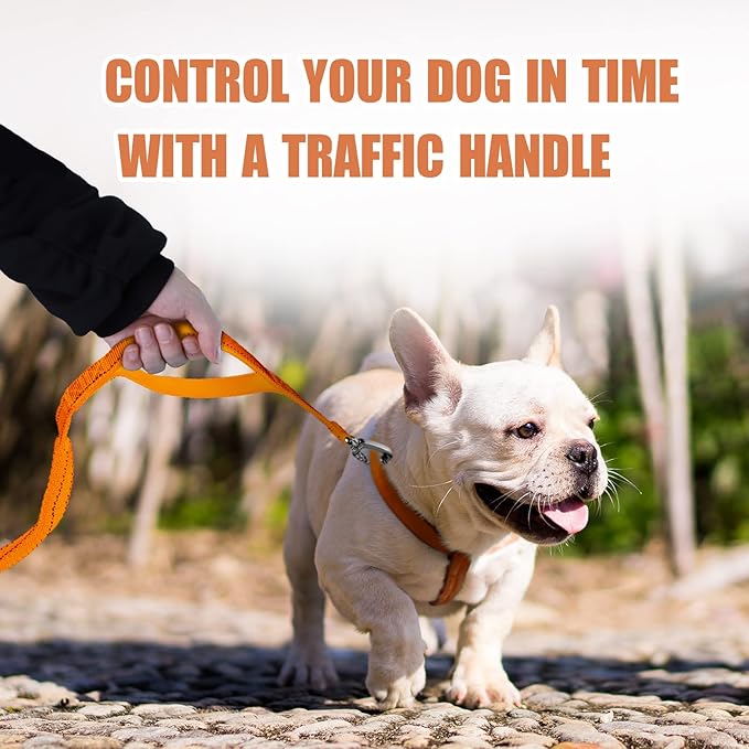 Hands Free Dog Leash,6FT Strong Double Padded Handle Dog Leash with Car Seat Belt Buckle, Reflective Dog Walking Training Shock Absorbing Bungee Leash 6in1,Zipper Pouch,Heavy Duty Dog Leash(Orange)