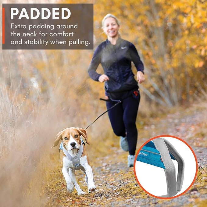 Non-stop dogwear Freemotion harness 5.0 Dog Pulling Harness for Sports like Running, Biking and Skiing with Dogs, Professional Adjustable Dog Harness, Blue/Gray, Size 6