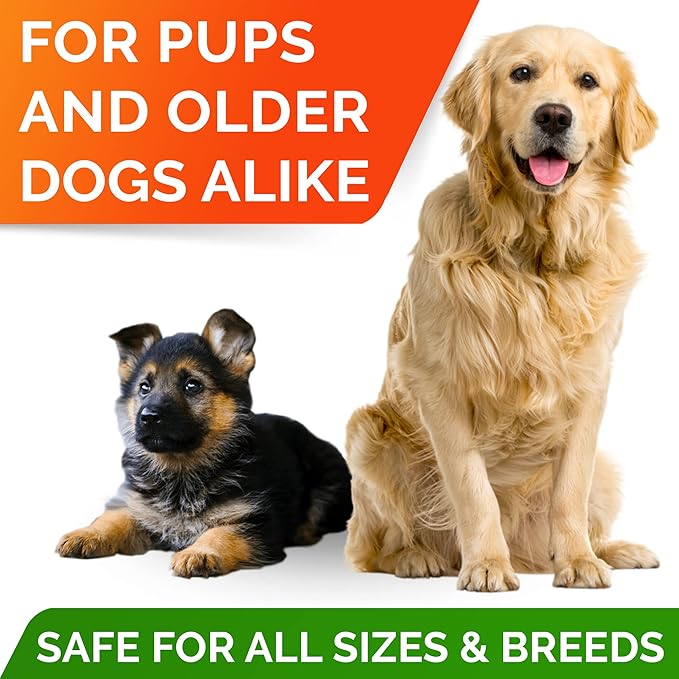 STRELLALAB Fish Oil Omega 3 Treats for Dogs - Allergy and Itch - Skin and Coat Supplement - Joint Health - Wild Alaskan Salmon Oil - Omega 3 6 9 - EPA & DHA - 170 Chews - Anchovy