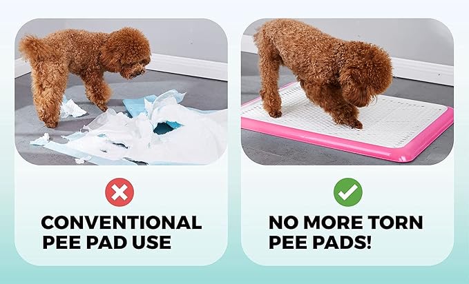 Pet Awesome Dog Potty Tray/Puppy Pee Pad Holder 25”x20” Indoor Wee Training for Small and Medium Dogs