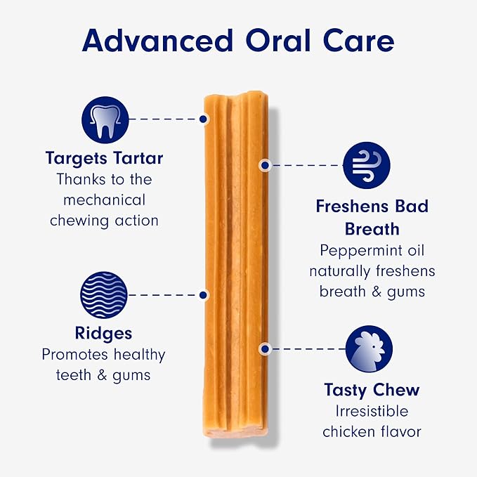 Petlab Co. Proenzyme Dental Sticks – Dog Dental Chews -Target Plaque & Tartar Build-Up at The Source - 28 Sticks