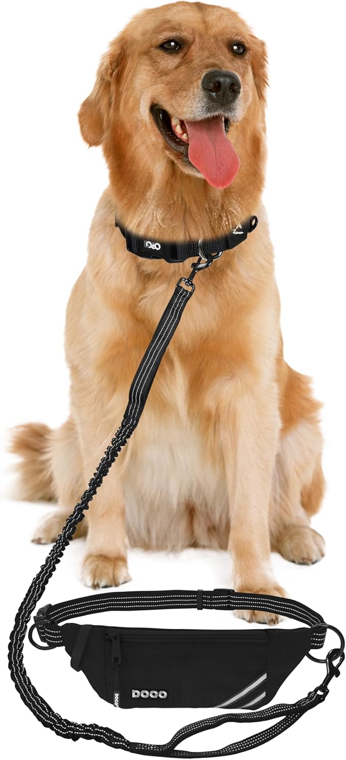 DOCO Lite Dog Jogging Belt with Zipper Pouch, Bungee Leash for Walking, Hiking, Jogging with Dog, Made for 10-100 lb. Dogs (Black)