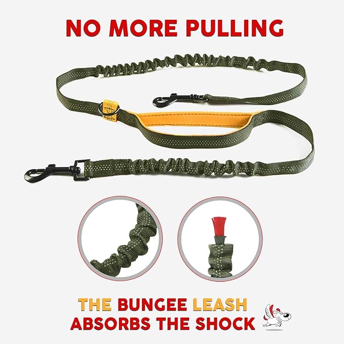 Exquisite Hands Free Double Dog Leash for Small Dogs | Dual Dog Leash | Two Dog Leash No Tangle | Multiple Dog Leash for 2 Dogs | Double Leash | Leash Splitter | Double Clip Leash Coupler