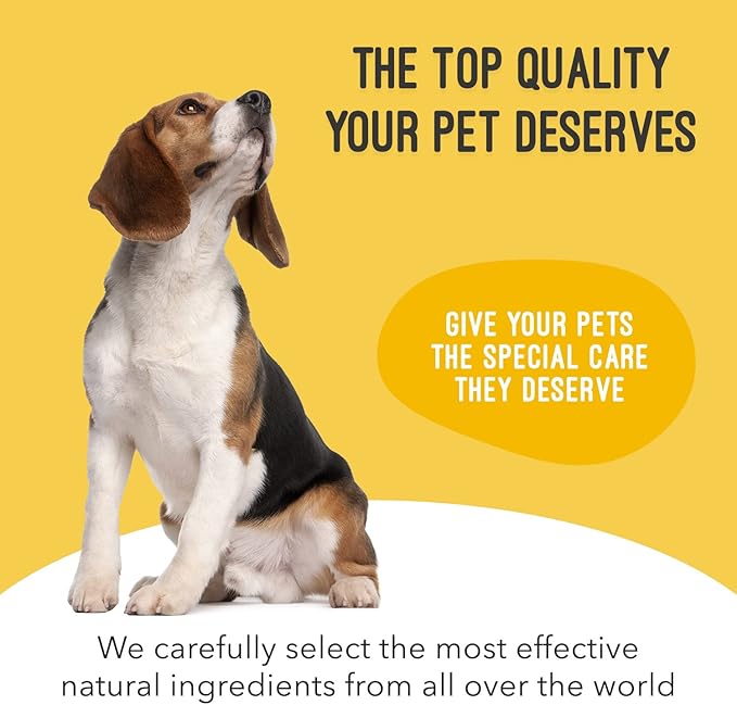Dog Supplements for Joint Inflammation & Arthritis, Naturally Potent Dog Joint Care, Delicious Soft Chews with Turmeric, Omega 3, & Glucosamine for Dogs, Natural Liver Flavor, 120 Pc