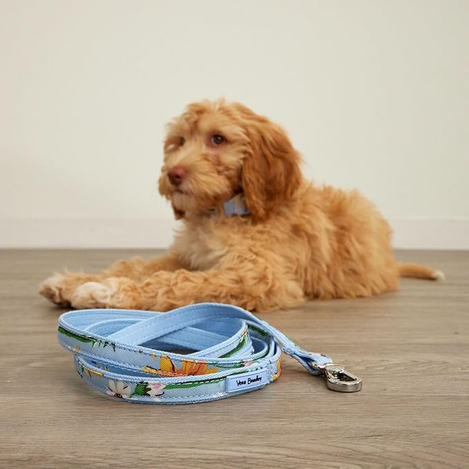 Vera Bradley Women's Recycled Lighten Up Water-repellent Adjustable Pet Collar, Sunflower Sky, Small