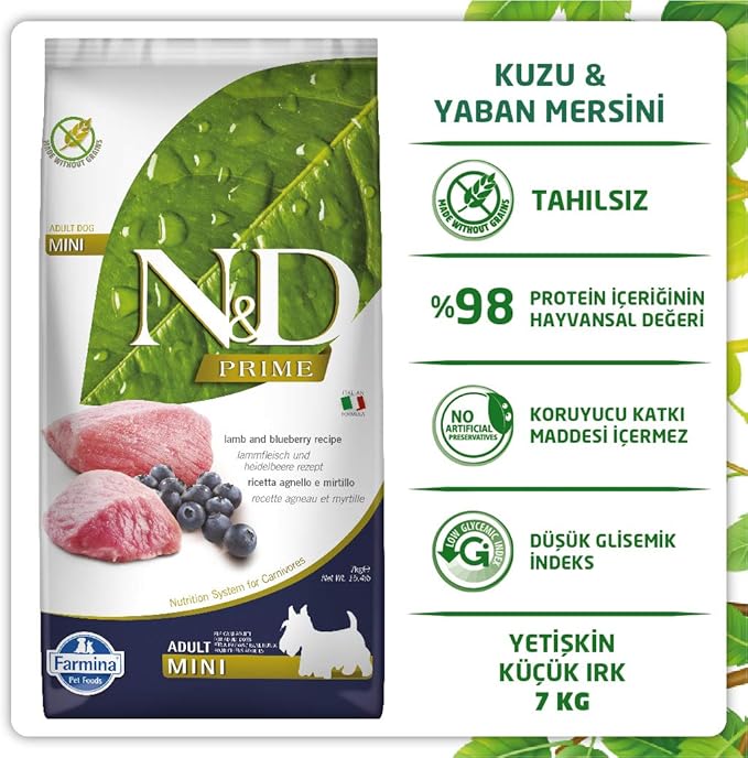 Natural And Delicious Lamb Grain-Free Formula Dry Dog Food, 15.4-Pound