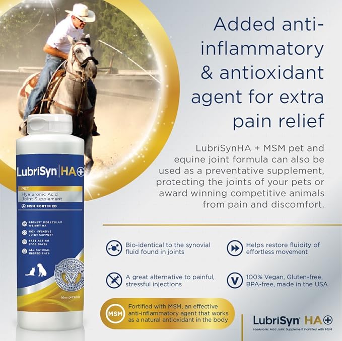 LubriSyn Hyaluronic Acid + MSM Joints Supplement, 16oz: Natural Pure HA Liquid Dog and Cat Joint & Cartilage Support, Relief, and Lubrication for Pets Including Dogs, Cats and Horses, Vegan Formula