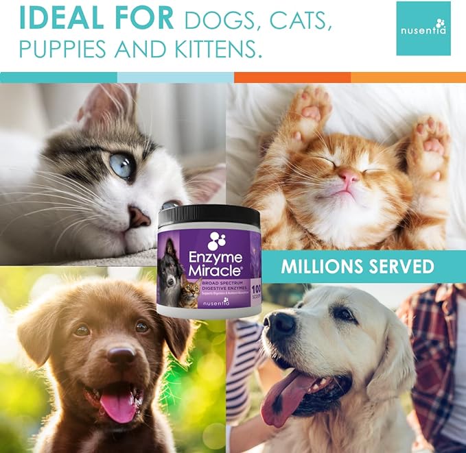 Enzymes for Cats & Dogs : Enzyme Miracle® (100 Servings) : for Digestive Stress, Pancreatic Concerns, and Healthy Weight Management.