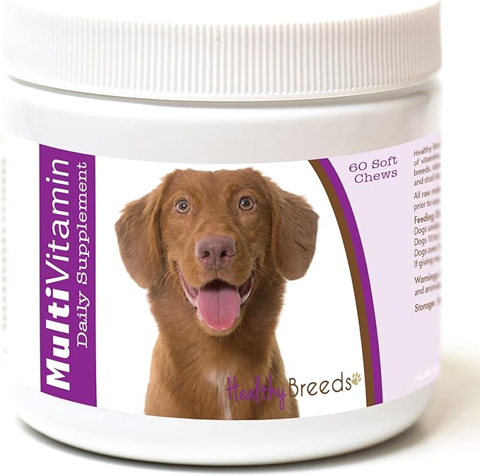 Healthy Breeds Nova Scotia Duck Tolling Retriever Multi-Vitamin Soft Chews 60 Count