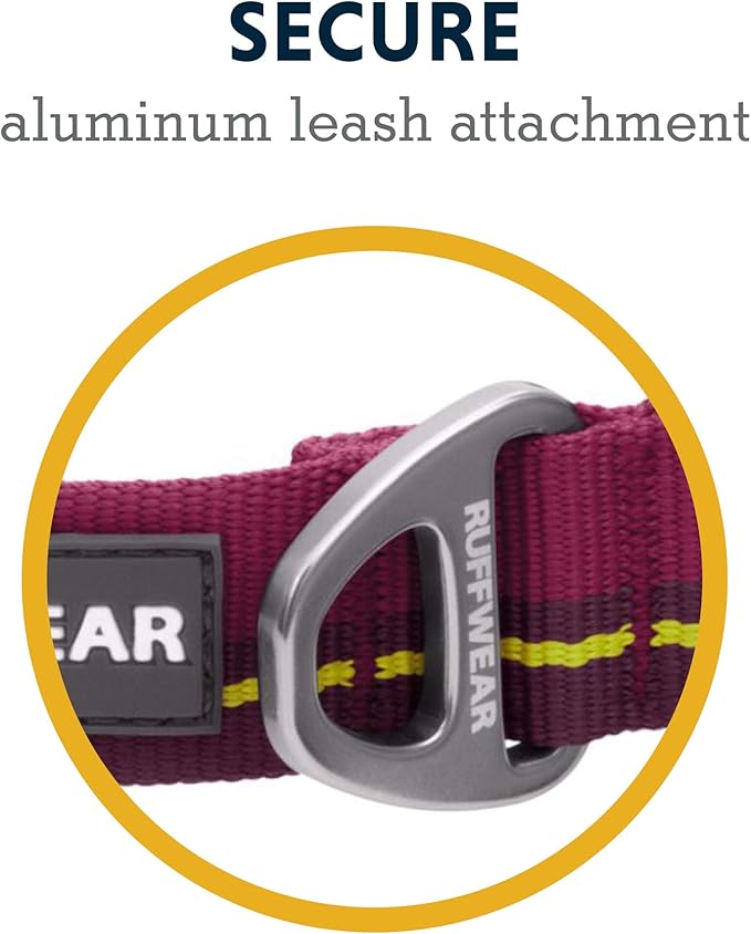 Ruffwear, Flat Out Dog Collar (Formerly Hoopie), Webbing Collar for Walking and Everyday Use, Wildflower Horizon, 11"-14"