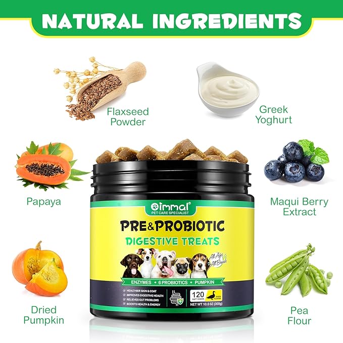 Probiotics for Dogs 120 Count, Dog Probiotic Chews with Digestive Enzymes for Gut Flora, Digestive Health, Immune & Bowel Support, Allergy Itch Relief, Reduce Diarrhea, Gas, Bad Breath