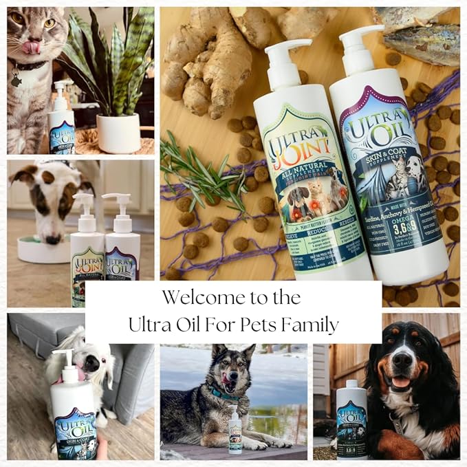 Ultra Oil Skin & Coat Supplement for Dogs & Cats with Hemp, Flaxseed, Grape Seed, Fish Oils - 16oz