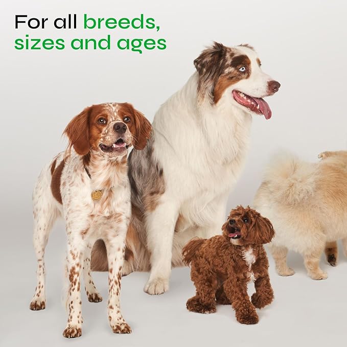 Dog Urine Neutralizer for Lawn - Grass Burn Spot Chews for Dogs - Dog Pee Lawn Spot Saver Caused by Dog Urine - Digestive Health Support Soft Chews - Grass Treatment Rocks - Grass Savers for Dog Urine
